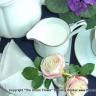 Coffee Anyone